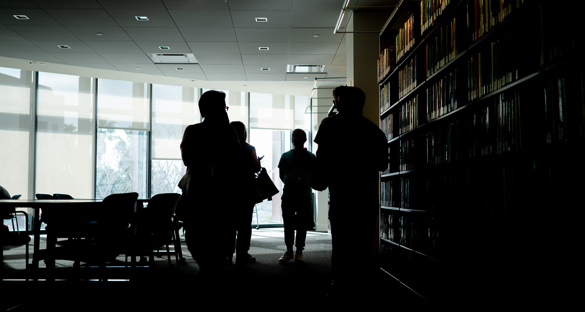 silhouette of a group in the library